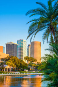 Public Adjusters In Tampa, FL